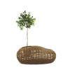 Binhi Outdoor Medium