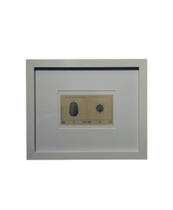 Screenshot 2026 01 24 at 1.09.19 PM